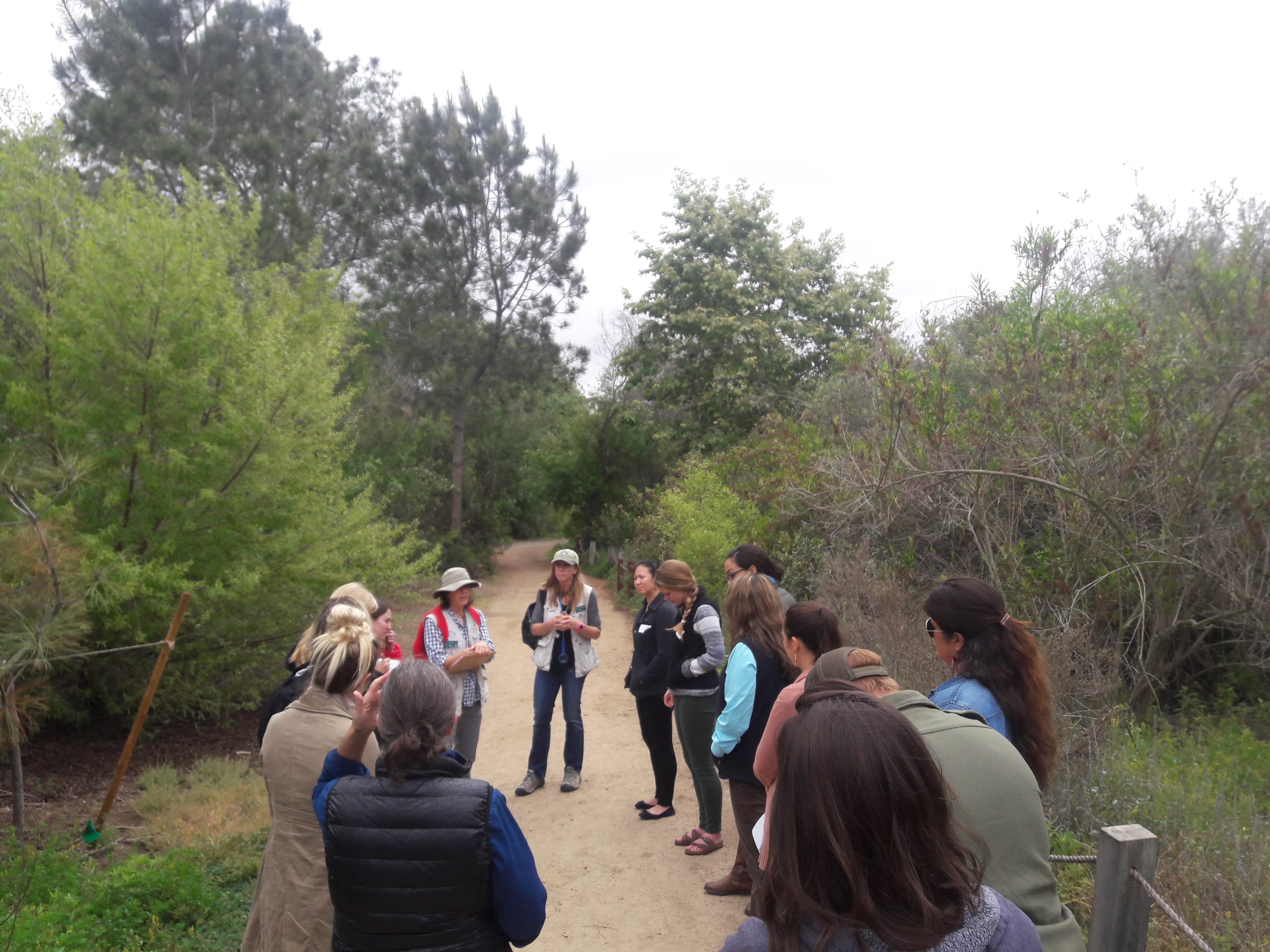 Environmental Education Workshop Walk